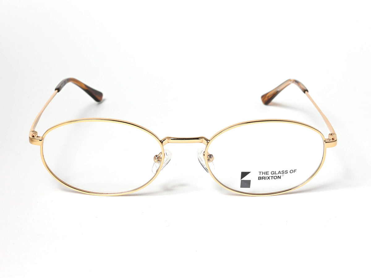 BRIXTON BF 229 C12